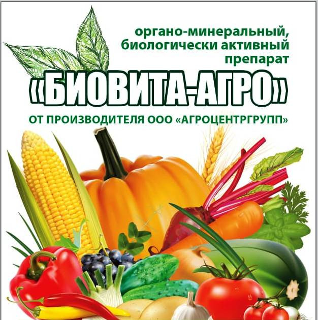 Сельское хозяйство | Агроцентр-групп | Ставропольский край