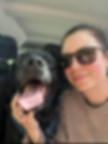 buddy dog.jpeg