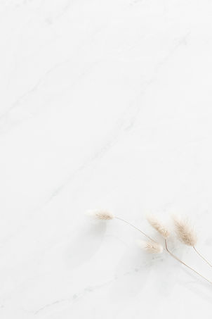 haute-stock-photography-earthy-office-fi