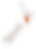 nz-map.png