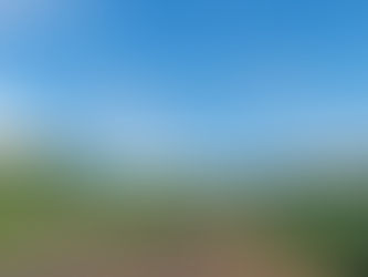 Dia 22: Posadas (ARG) > Guarapuava (BRA) - 617km