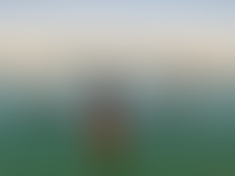 Dia 17: San Pedro de Atacama - 0km