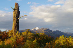 Snag and Pagosa Peak Coyote Hill