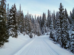 Fall Creek Road