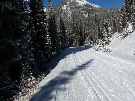Nordic Skiing on Fall Creek Road