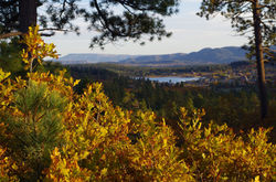 Lake Hatcher from Coyote Hill