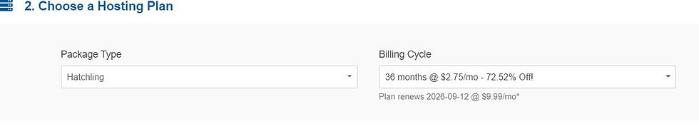 Hostgator package type screenshot