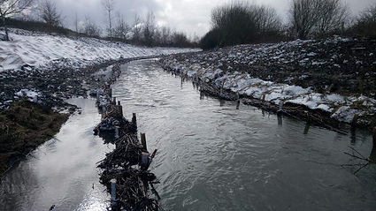 River Restoration 4.jpg