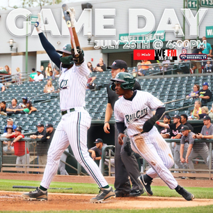 Indiana Dunes + Baseball Game
