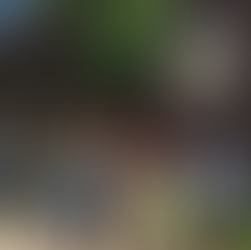 Congregational Meeting