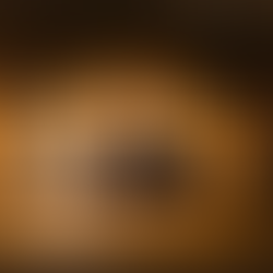 Women's Ministry Event