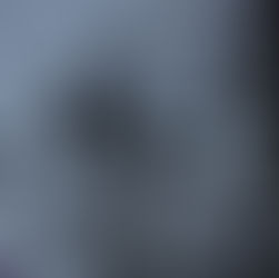 RPC Eco-Letter 10: Lent, Climate, and Abundance