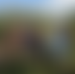 Youth Group Movie Night on Saturday