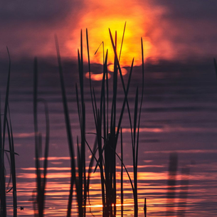 Post-Election Prayer & Reflection