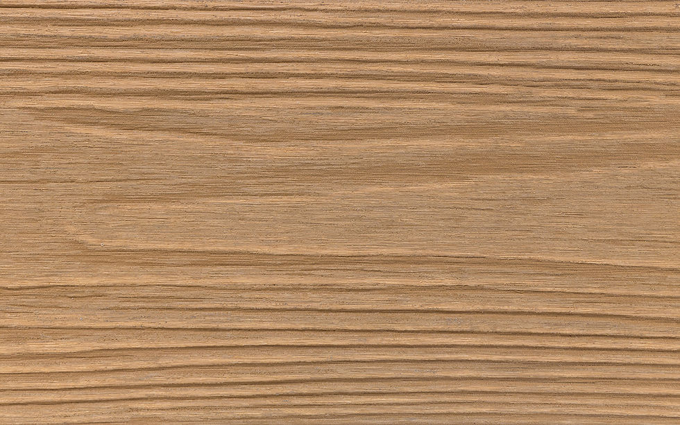 Himalayan Cedar