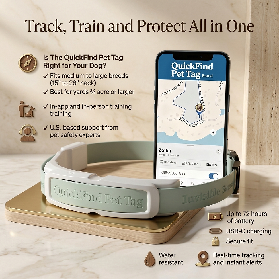 Thumbnail: QuickFind Pet Tag