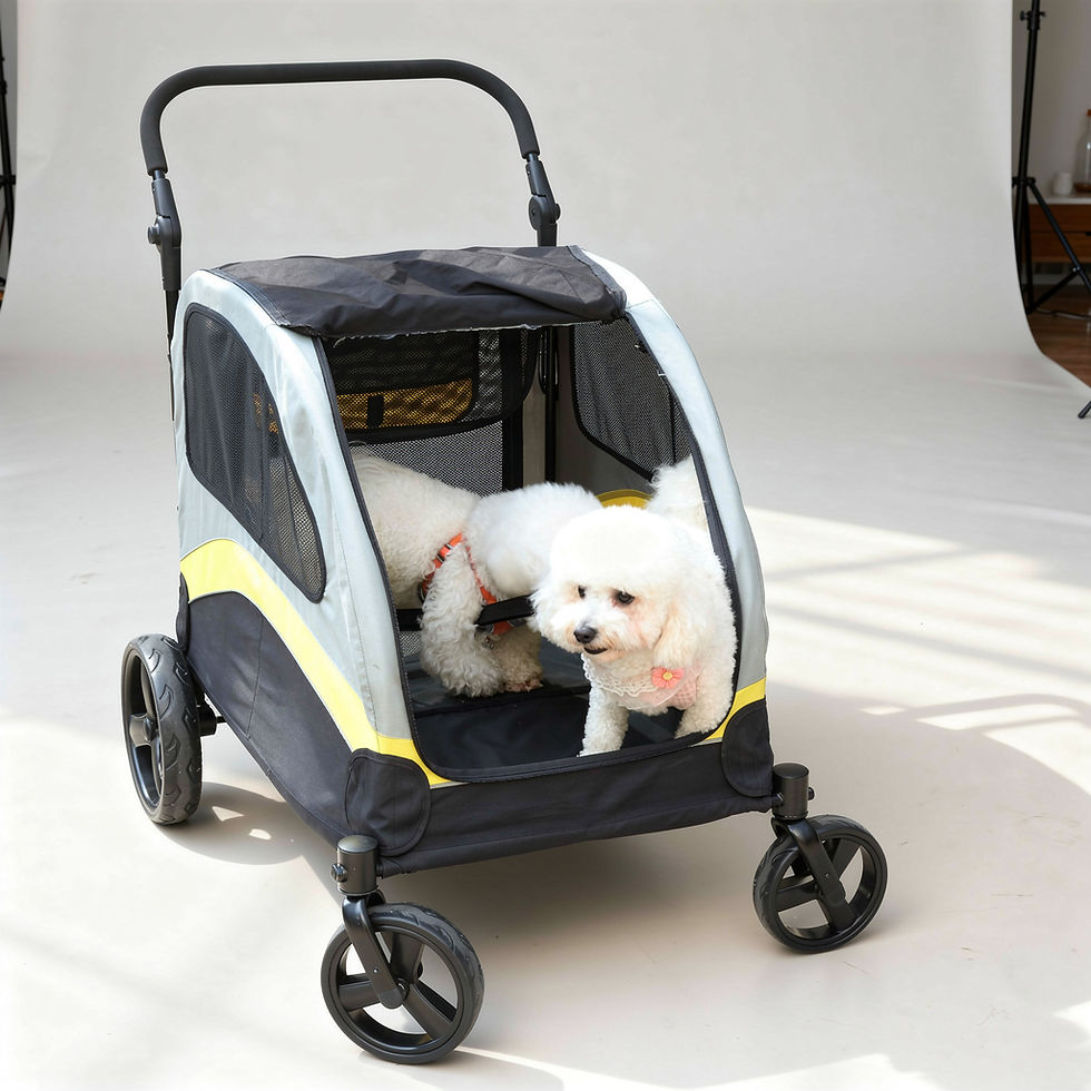 Thumbnail: AeroGlide Stroller
