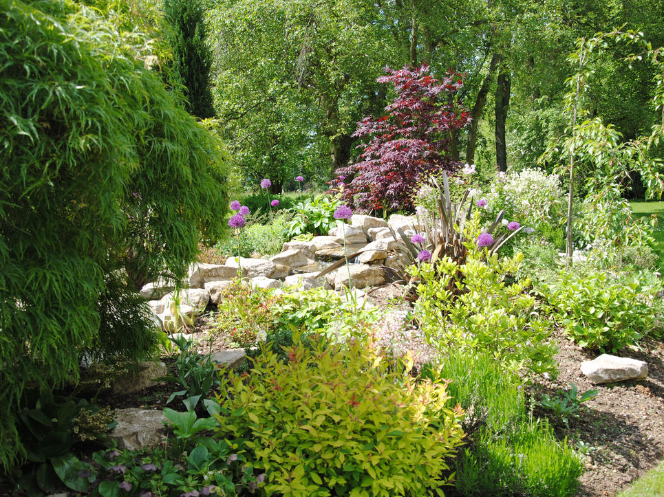 Planting by Dixons Landscapes