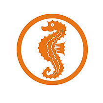 schwimmabzeichen-seepferdchen