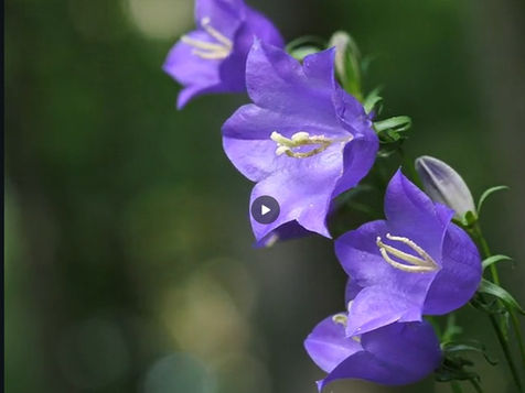 Votre plan B Car nous n'avons pas de planète B