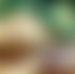 Raspberry Shortbread Biscuits