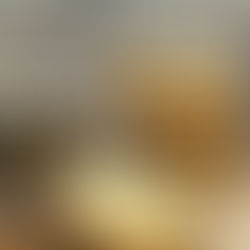 Condensed Milk Chocolate Chip Cookies