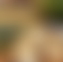 Rosemary, Garlic & Sea Salt Focaccia Bread