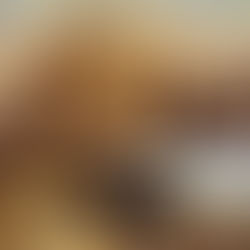 Vanilla & Milk Chocolate Chip Muffins