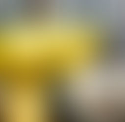 Lemon Drizzle Muffins