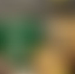 Cranberry & Orange Flapjack