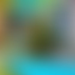 Sunday Brunch 17/08/2025