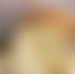 Japanese Milk Bread Loaf