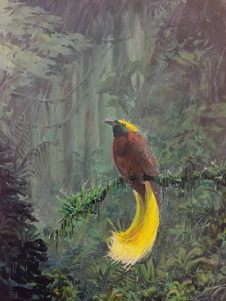 ''Bird of Paradise'' acrylic paint on canvas, A3(30cm by 42cm) £250.png
