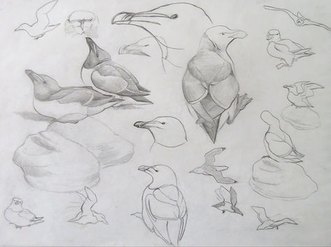 Maria-Simonova_Drawing_Graphite Pencil_i