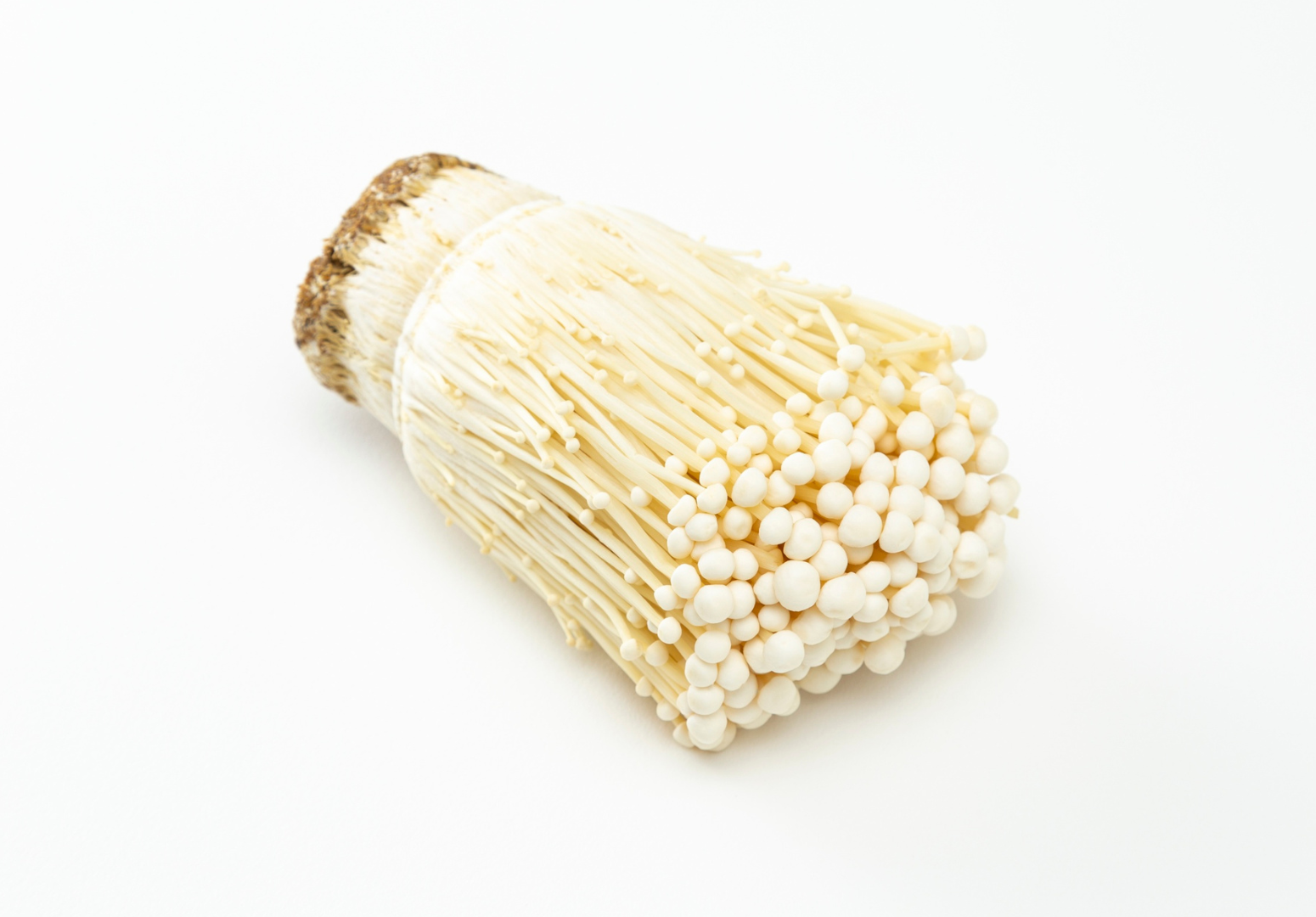 Enoki