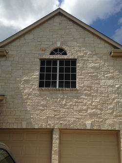 Brindle 80% in Austin