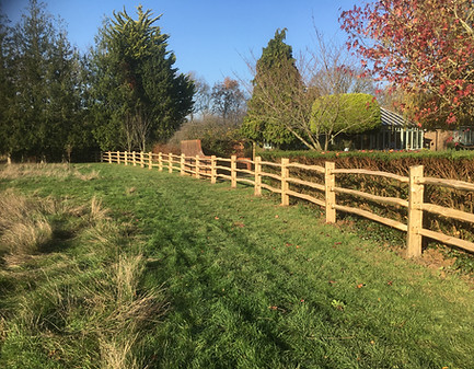 Cleft Chesnut fencing