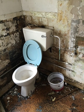 Bathroom transformation!
