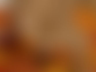 A cozy autumn scene showing two cream-colored lace-patterned wool socks drying on Silly Monkey wire sock blockers, hanging by a window. The windowsill is decorated with colorful fall leaves, acorns, and pinecones, and a warm cup of tea sits nearby, with golden sunlight filtering through autumn trees in the background.