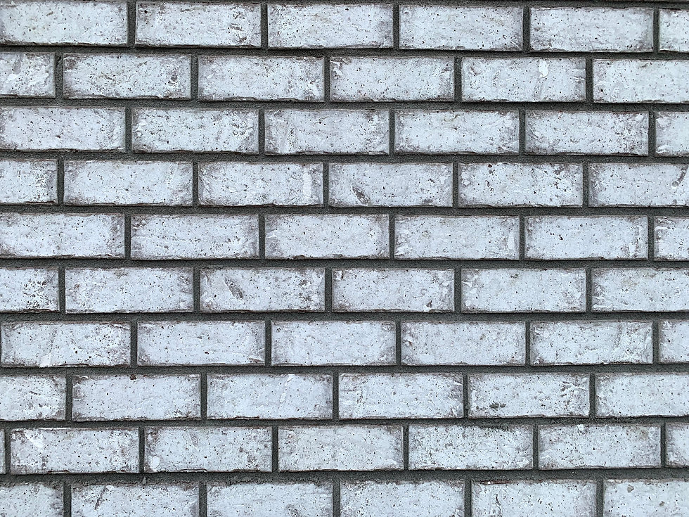 IMG_5571.jpeg