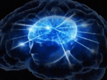 brain-brain-meme.gif