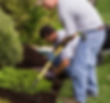 Mulching.png