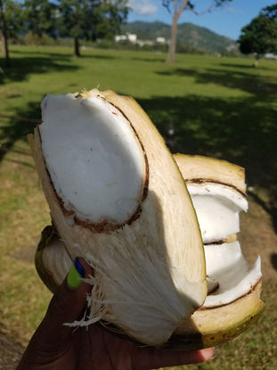 bcd61452c2c24fe267a50e9447cebb1b (1).jpeg