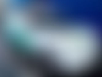 Green Move Removals Electric Van