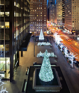 03 Christmas Trees Lit Up.jpeg