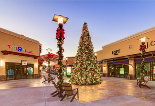 12 Large Christmas Tree.jpeg