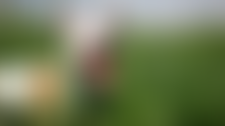 Pit Bull Awareness Month