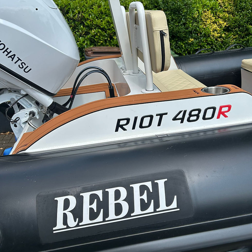 Thumbnail: Rebel Riot 480R