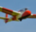 DSC_0810.JPG