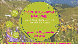 Alessia Dondero, naturopata, conduce un incontro sul benessere in Biblioteca a Ortisei, parlando di medicina cinese, iridologia, Fiori di Bach e piante davanti a un pubblico attento